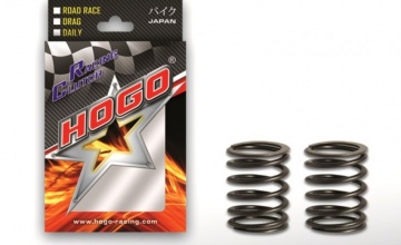 Pegas Katup Hogo : DIPRODUKSI UNTUK MELAYANI TEKNOLOGI SILINDER HEAD TERBARU & KOMPETISI