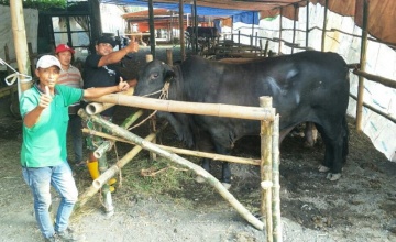 H. Rokhmawan Big Boss Rizqy Motor Boss Mild MX GTX, Pasuruan : SEBAGAI BENTUK RASA SYUKUR, JALANKAN TRADISI QURBAN 80 EKOR SAPI