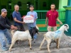 Semangat Berbagi di hari Raya Idul Adha, MPM Honda Jatim Salurkan Hewan Kurban Untuk Warga Sekitar